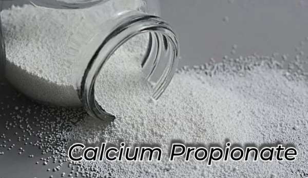Calcium Propionate Bulk suppliers